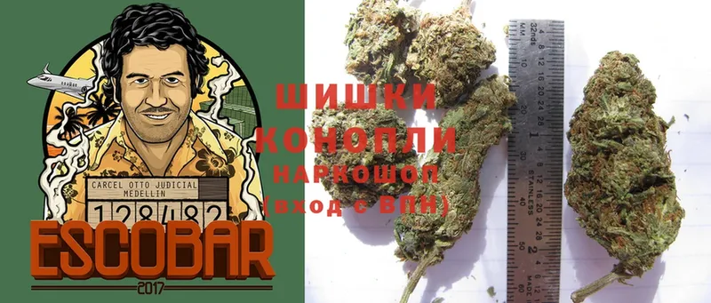 Канабис White Widow  как найти   Знаменск 